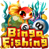 Câu Cá Bingo trên Kuvin